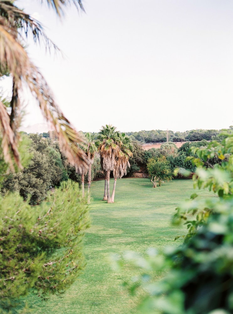 Casal Santa Eulàlia Hotel — Attractions in the area in Can Picafort, Balearic Islands