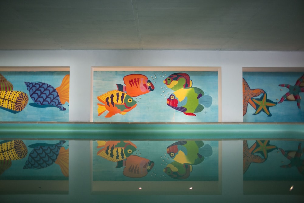 Mirachoro Carvoeiro — Swimming pool in Carvoeiro, Faro