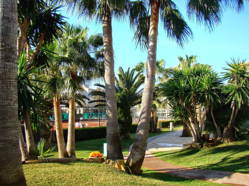 Club Simo Aparthotel — Sports & recreation in Cala Millor, Balearic Islands