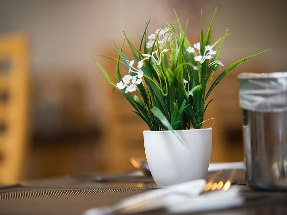 Bungalows Vistaflor — Restaurant & bars in Maspalomas, Canary Islands