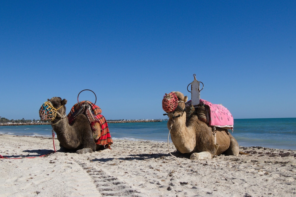 Seabel Aladin — Beach in Aghir, Medenine
