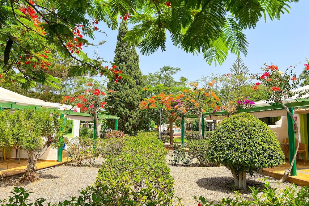 Bungalows Cordial Sandy Golf — Attractions in the area in Maspalomas, Canary Islands