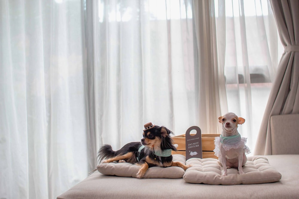 Seaphere Pattaya Hotel — Hotel rooms in Sattahip, Chonburi