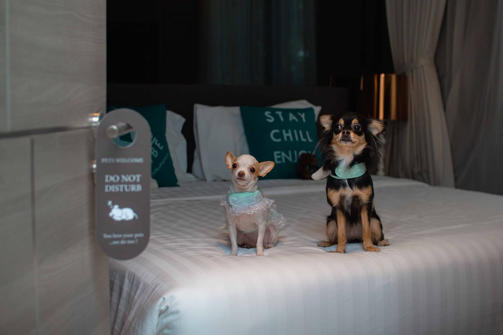 Seaphere Pattaya Hotel — Hotel rooms in Sattahip, Chonburi