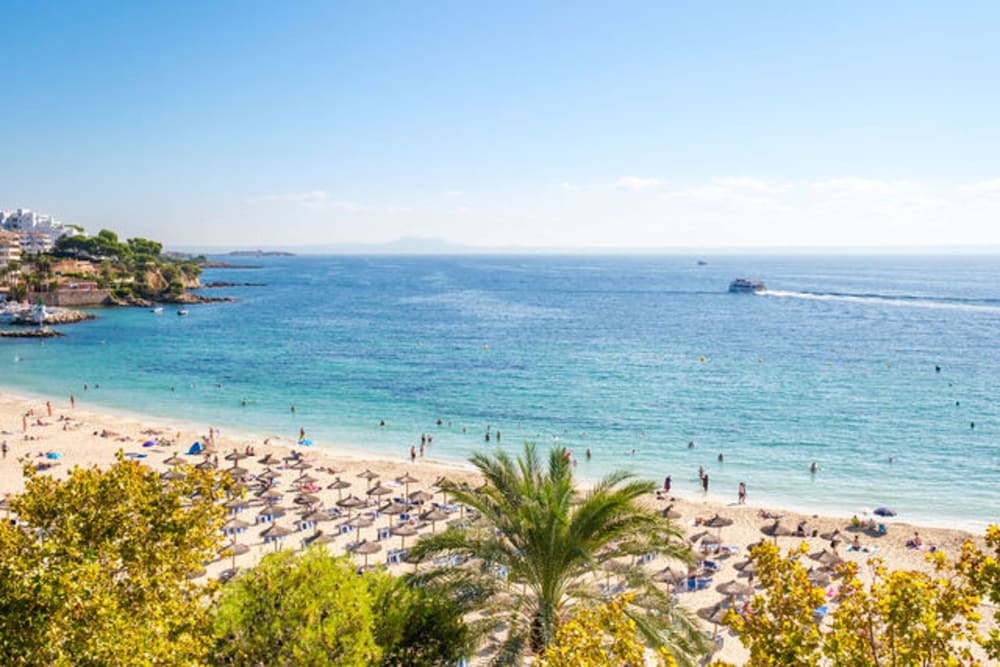 Hotel Agua Beach - Adults Only — Beach in Palma Nova, Balearic Islands