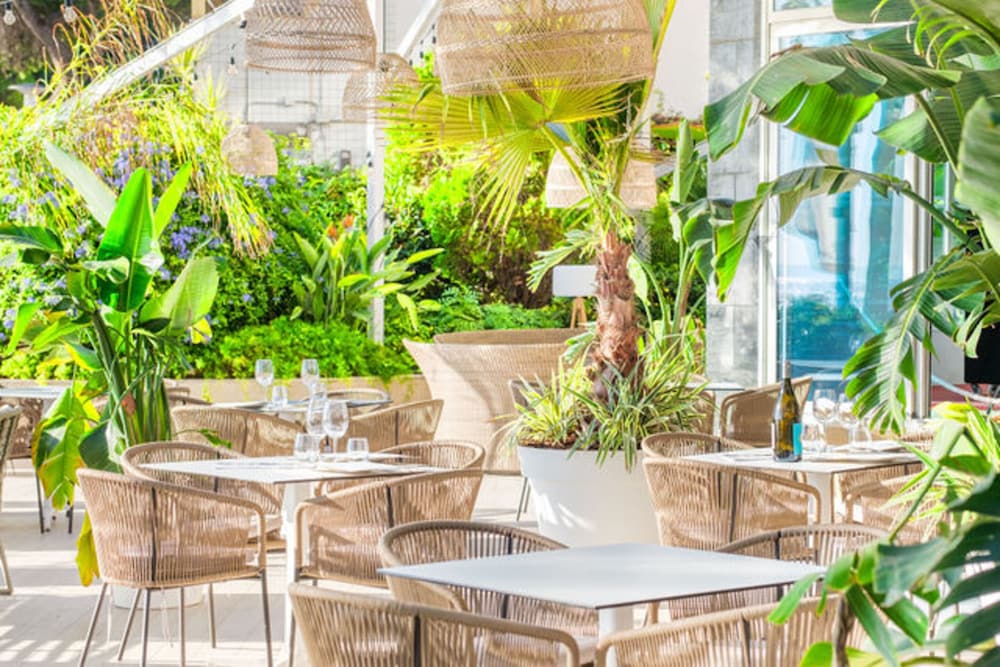 Hotel Agua Beach - Adults Only — Restaurant & bars in Palma Nova, Balearic Islands