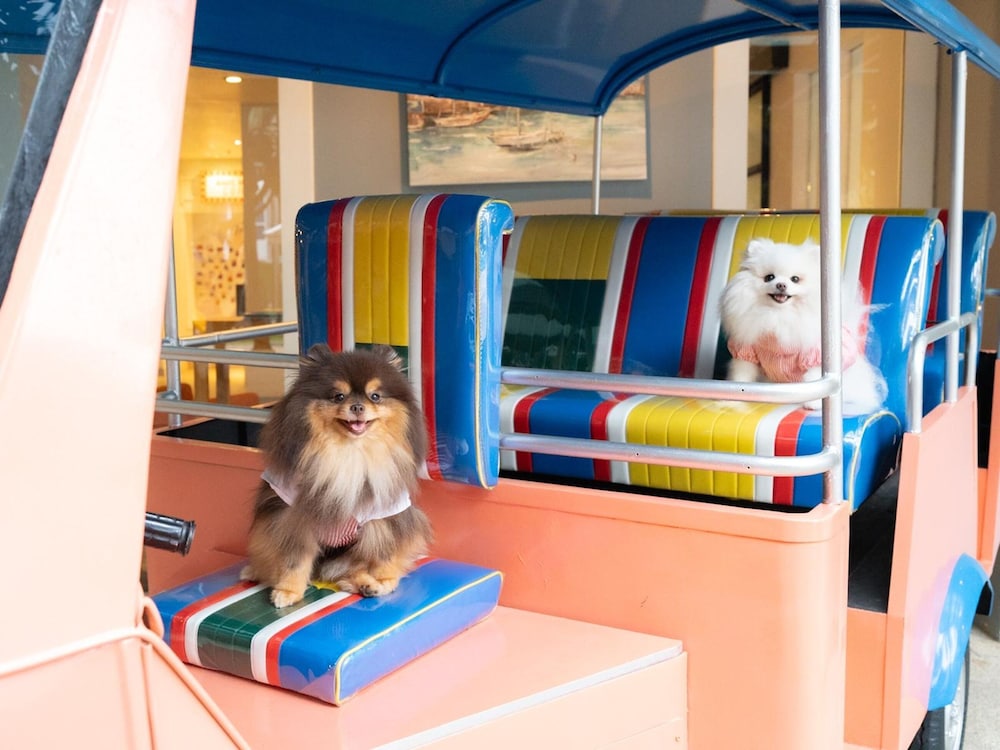 Heeton Concept Hotel Pattaya by Compass Hospitality — Attractions for children in Pattaya, Chonburi