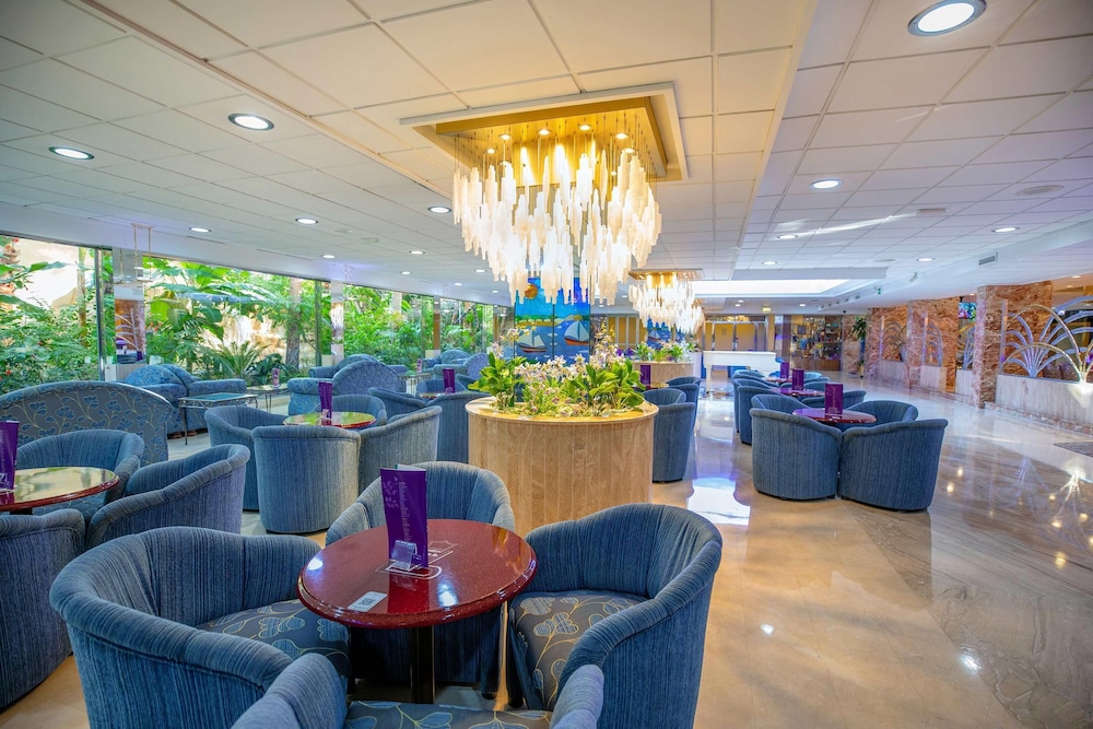 Hotel Servigroup Diplomatic — Restaurant & bars in Benidorm, Valencian Community