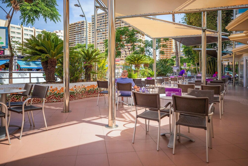 Hotel Servigroup Nereo — Restaurant & bars in Benidorm, Valencian Community