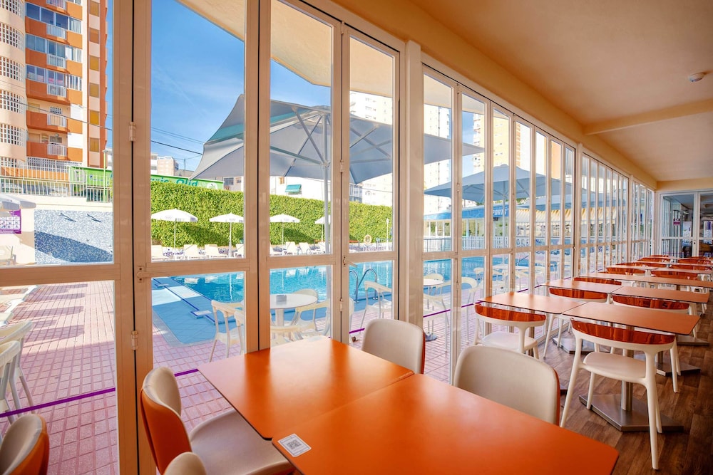 Hotel Servigroup Nereo — Restaurant & bars in Benidorm, Valencian Community