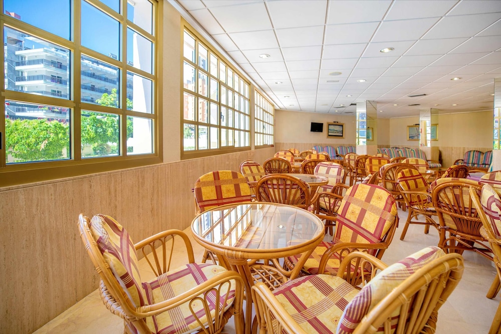 Hotel Servigroup Orange — Restaurant & bars in Benidorm, Valencian Community