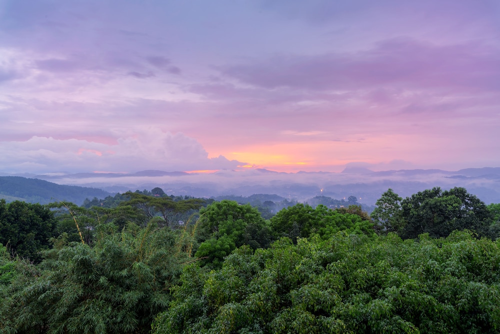 Amaya Hills Kandy — Attractions in the area in Kandy