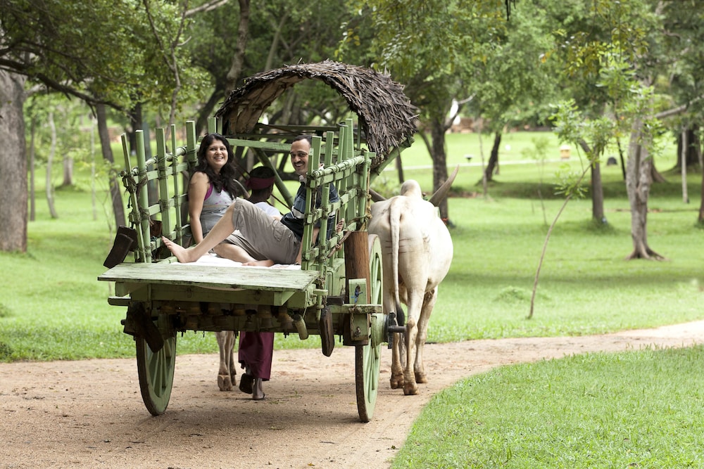 Amaya Lake Dambulla — Attractions in the area in Dambulla