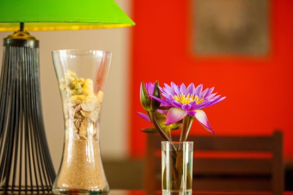 Citrus Hikkaduwa — Restaurant & bars in Hikkaduwa, Southern Province
