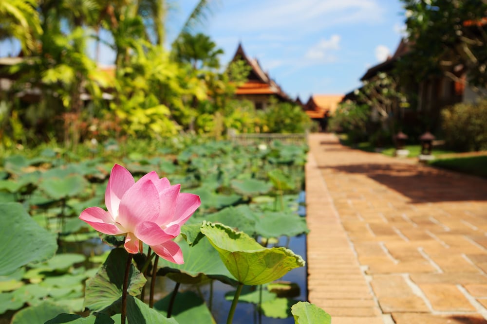 Khaolak Bhandari Resort & Spa — Hotel building in Khuekkhak, Phang Nga