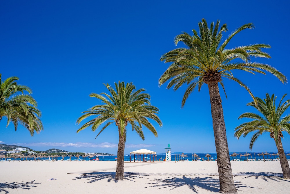 Las Palomas Apartments Econotels — Beach in Palma Nova, Balearic Islands