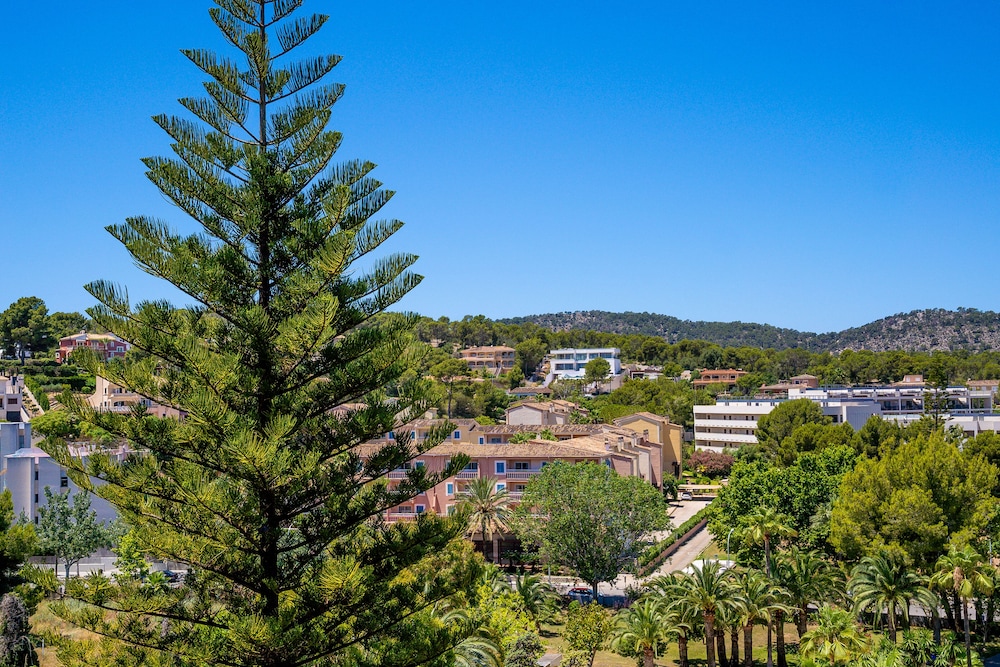 Las Palomas Apartments Econotels — Attractions in the area in Palma Nova, Balearic Islands