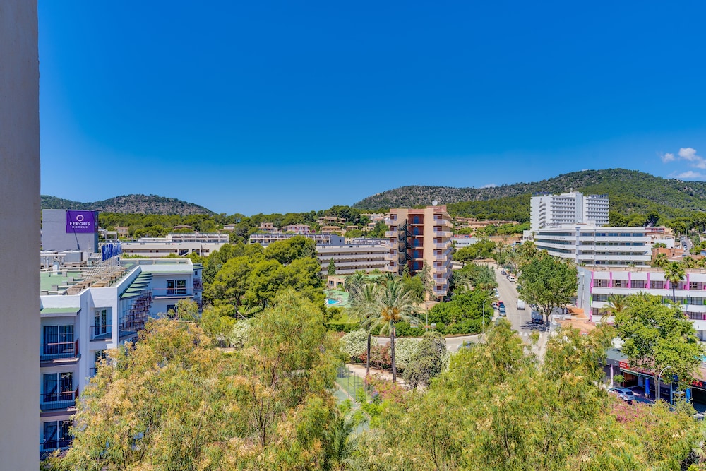 Las Palomas Apartments Econotels — Attractions in the area in Palma Nova, Balearic Islands