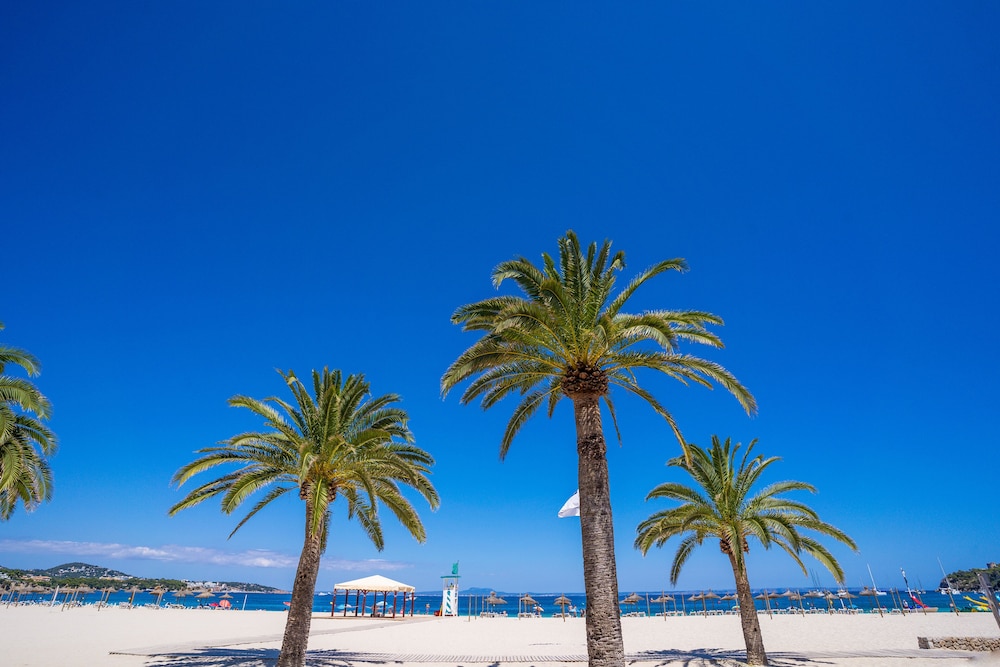 Las Palomas Apartments Econotels — Beach in Palma Nova, Balearic Islands