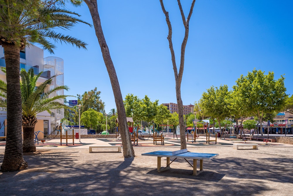 Las Palomas Apartments Econotels — Attractions in the area in Palma Nova, Balearic Islands