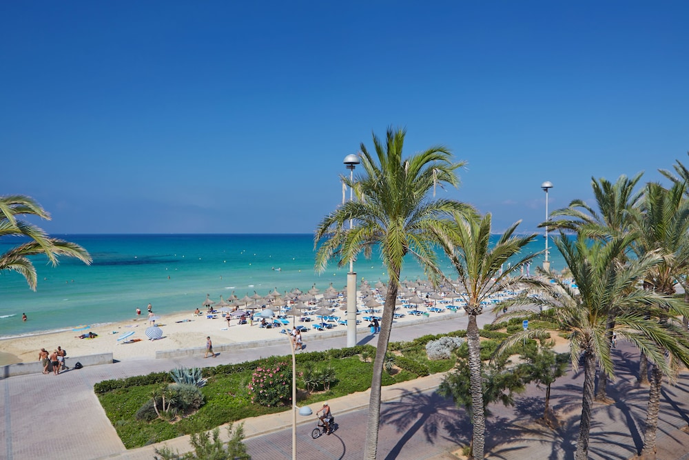 Myseahouse Hotel Flamingo - Adults Only — Beach in Playa de Palma, Balearic Islands