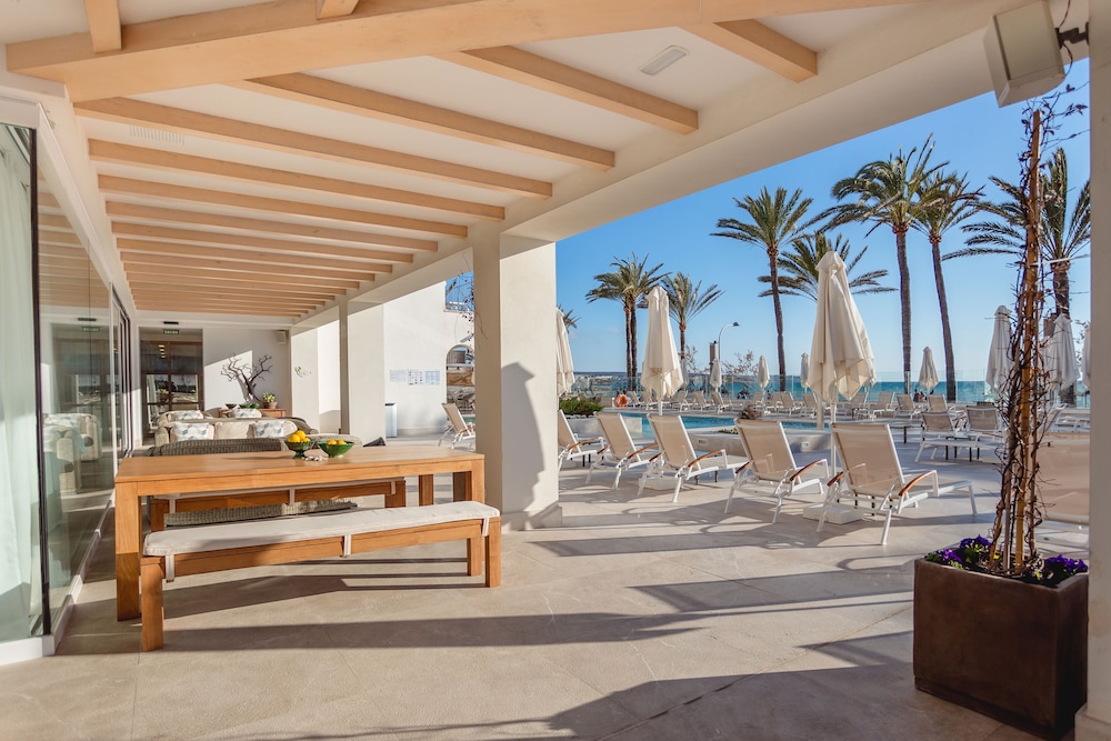 Myseahouse Hotel Flamingo - Adults Only — Swimming pool in Playa de Palma, Balearic Islands