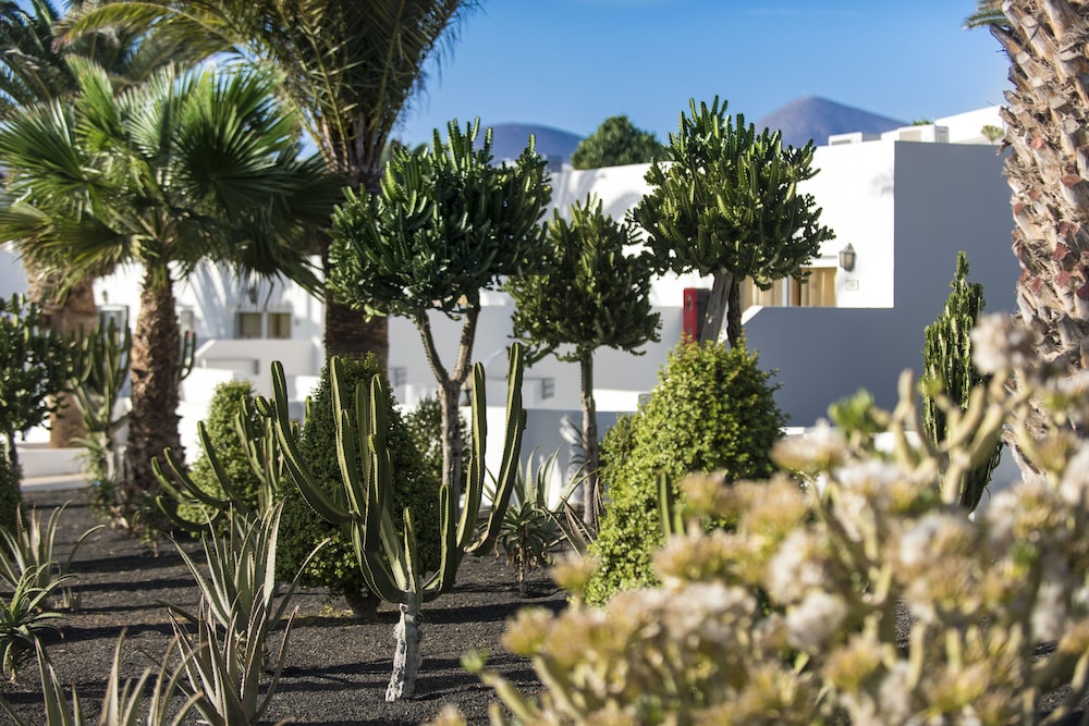 Hotel Floresta — Hotel building in Puerto del Carmen, Canary Islands