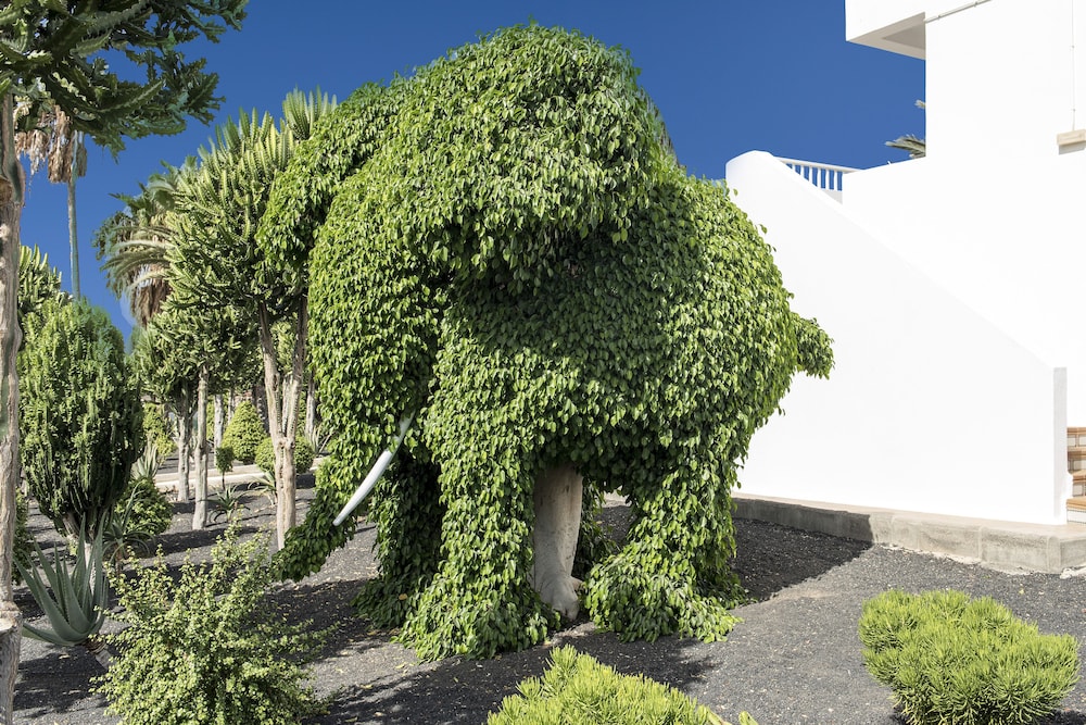 Hotel Floresta — Hotel building in Puerto del Carmen, Canary Islands