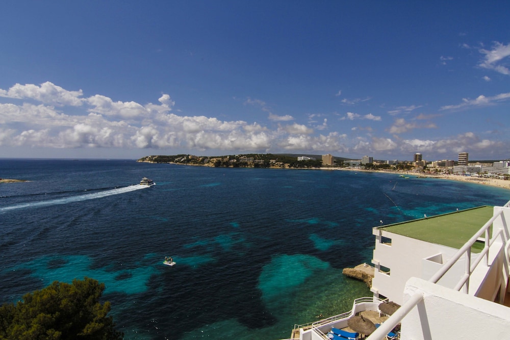 Hotel Florida Magaluf - Adults Only — Attractions in the area in Magaluf, Balearic Islands