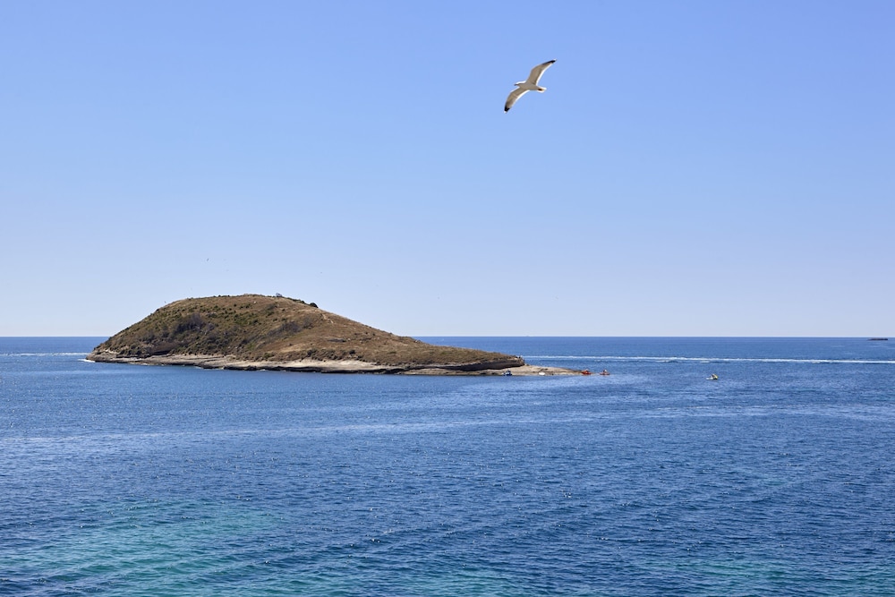 Hotel Florida Magaluf - Adults Only — Beach in Magaluf, Balearic Islands