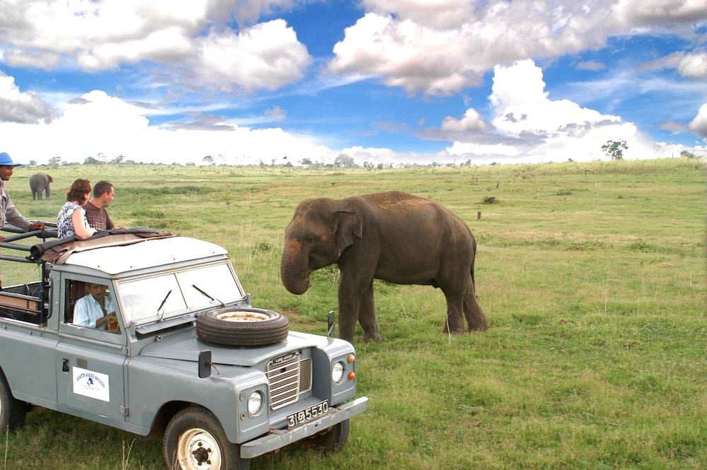 Heritance Kandalama — Attractions in the area in Dambulla