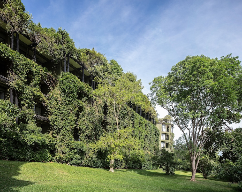 Heritance Kandalama — Attractions in the area in Dambulla