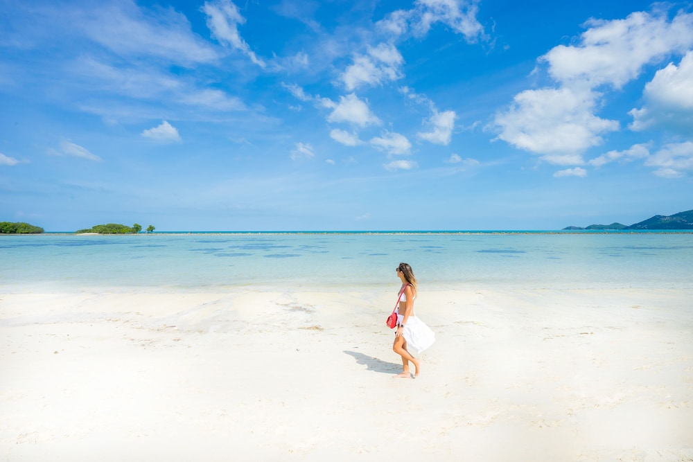Dara Samui Beach Resort - Adults Only — Beach in Bo Phut, Surat Thani