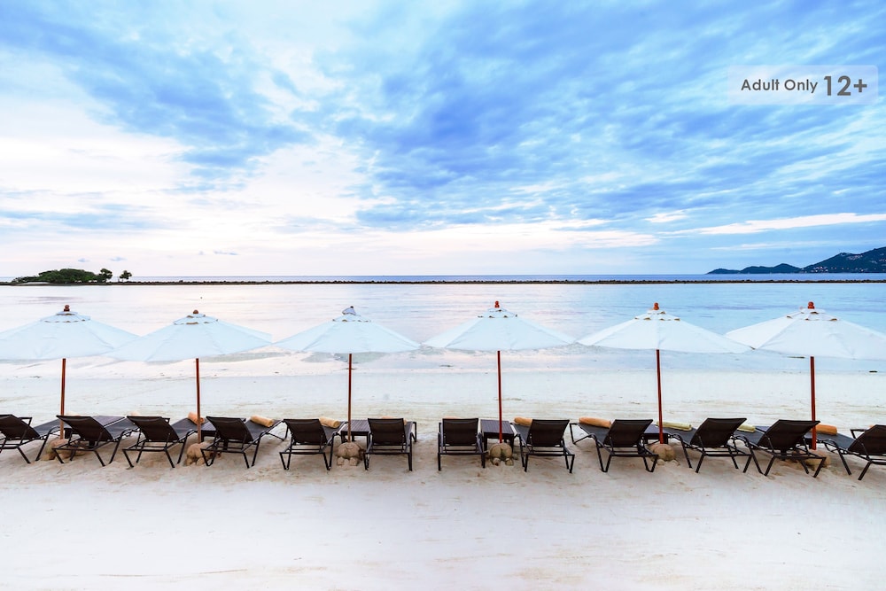 Dara Samui Beach Resort - Adults Only — Beach in Bo Phut, Surat Thani