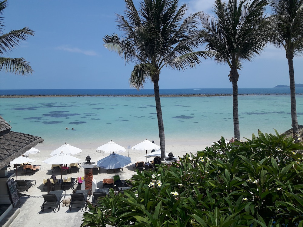 Dara Samui Beach Resort - Adults Only — Beach in Bo Phut, Surat Thani