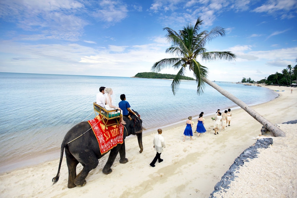 Nora Buri Resort & Spa — Beach in Bo Phut, Surat Thani