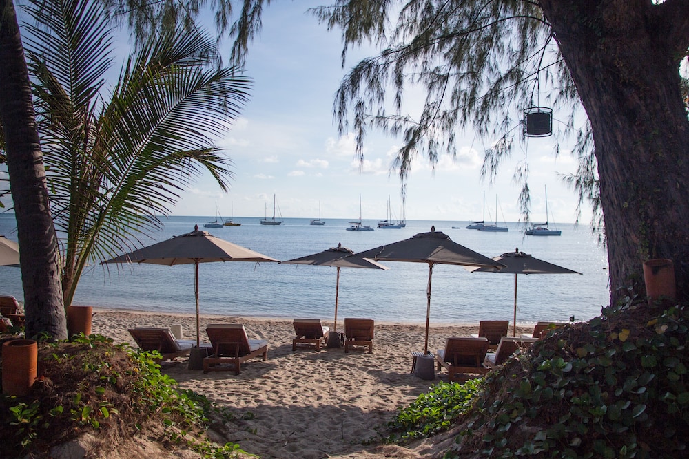 SALA Samui Choengmon Beach — Beach in Bo Phut, Surat Thani