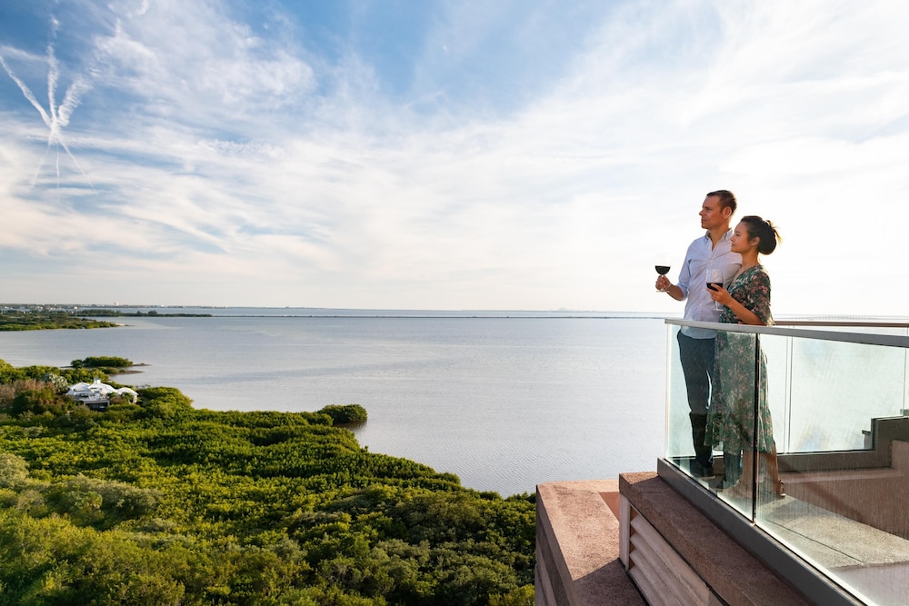 Grand Hyatt Tampa Bay — Attractions in the area in Tampa, Florida