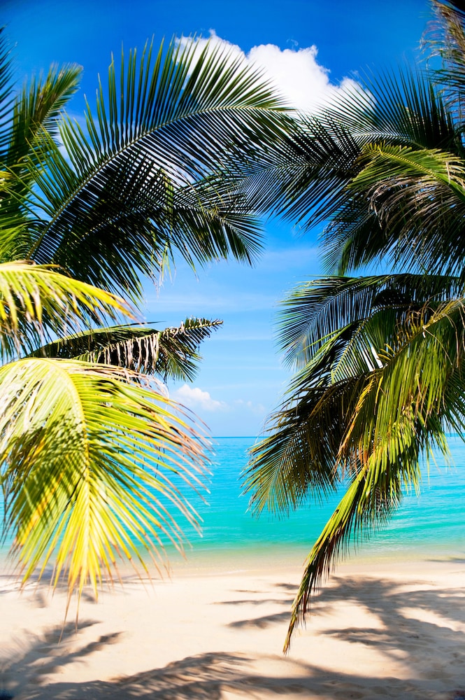 W Koh Samui — Beach in Mae Nam, Surat Thani