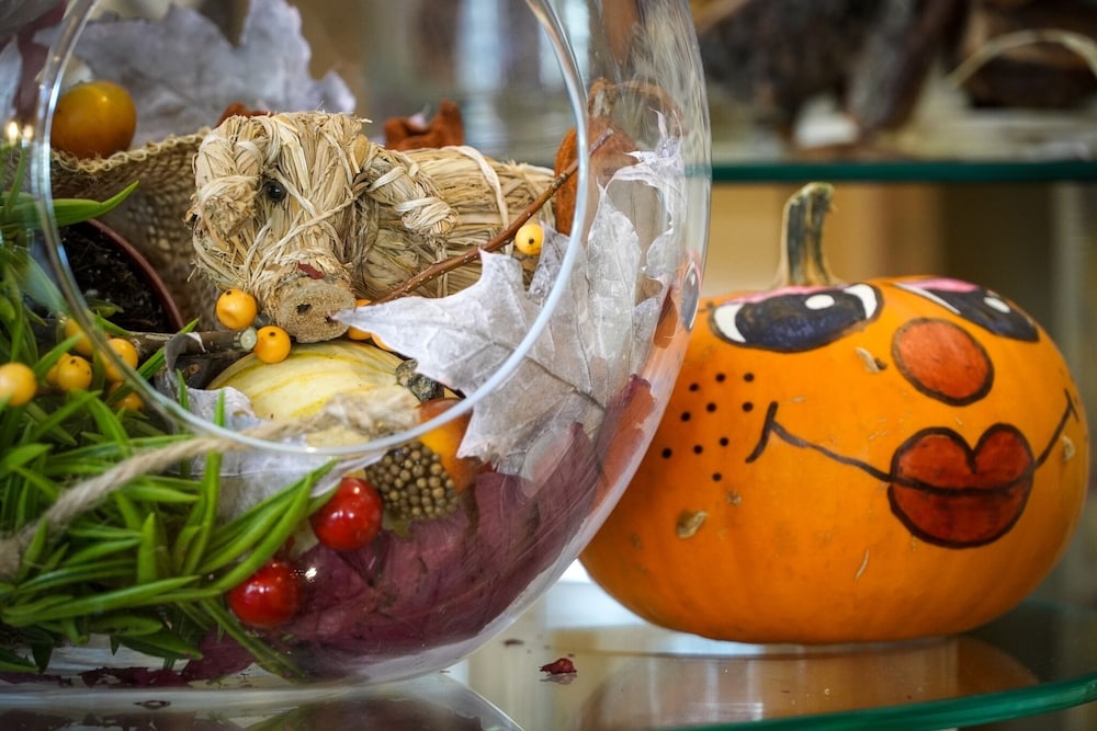 Flamingo Grand Hotel & SPA — Attractions for children in Albena, Dobrich