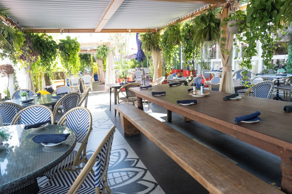 Catalina Hotel & Beach Club — Restaurant & bars in Miami, Florida