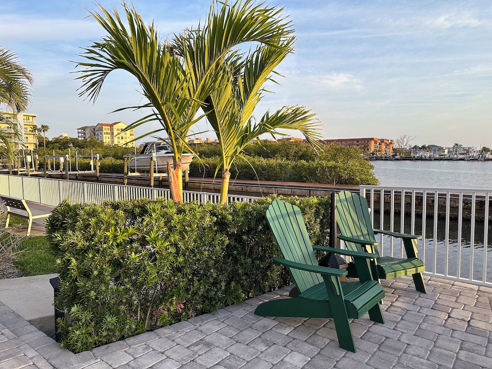 The Fold Hotels Indian Shores — Attractions in the area in Indian Shores, Florida