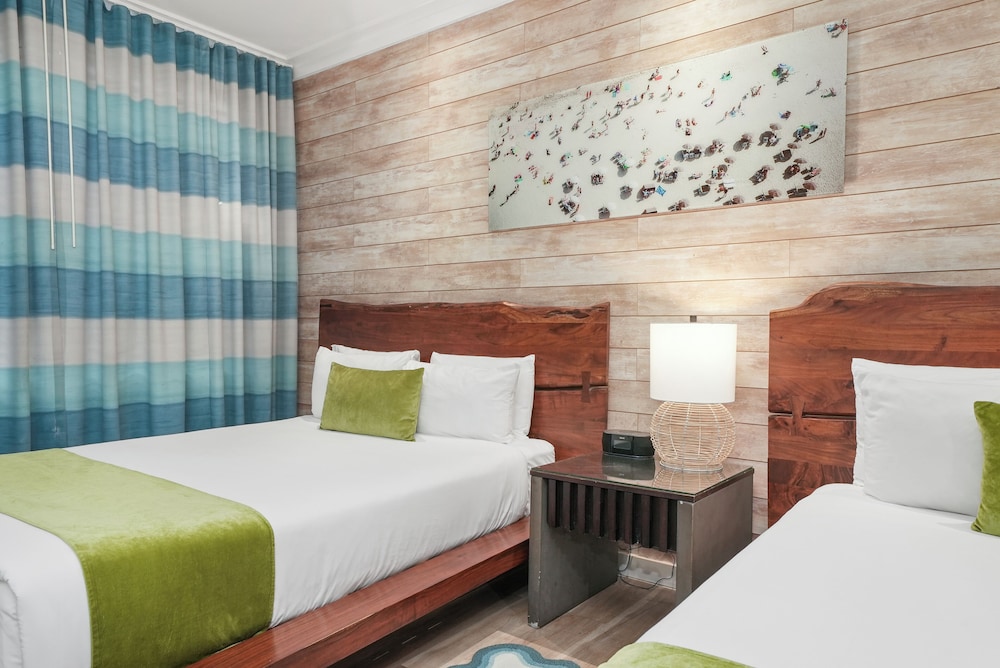 Chesterfield Hotel & Suites — Hotel rooms in Miami, Florida