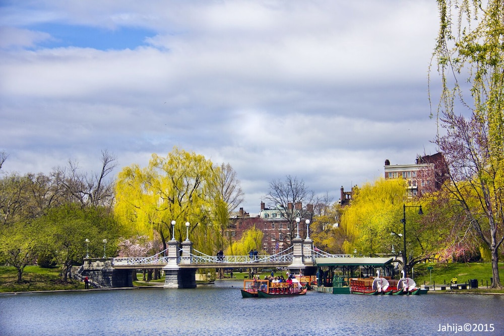 The Colonnade Hotel Back Bay — Attractions in the area in Boston, Massachusetts