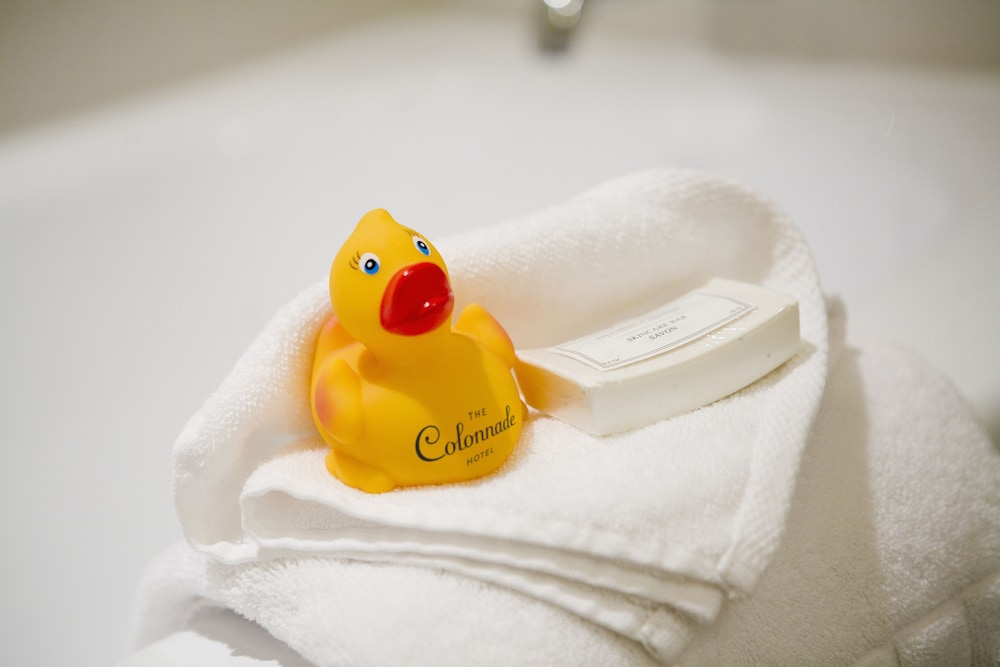 The Colonnade Hotel Back Bay — Hotel rooms in Boston, Massachusetts