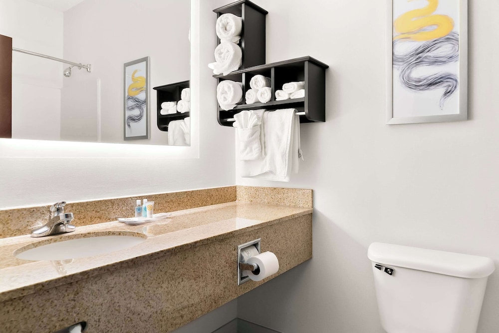 Holiday Inn Express & Suites Southfield Detroit by IHG — Hotel rooms in Southfield, Michigan