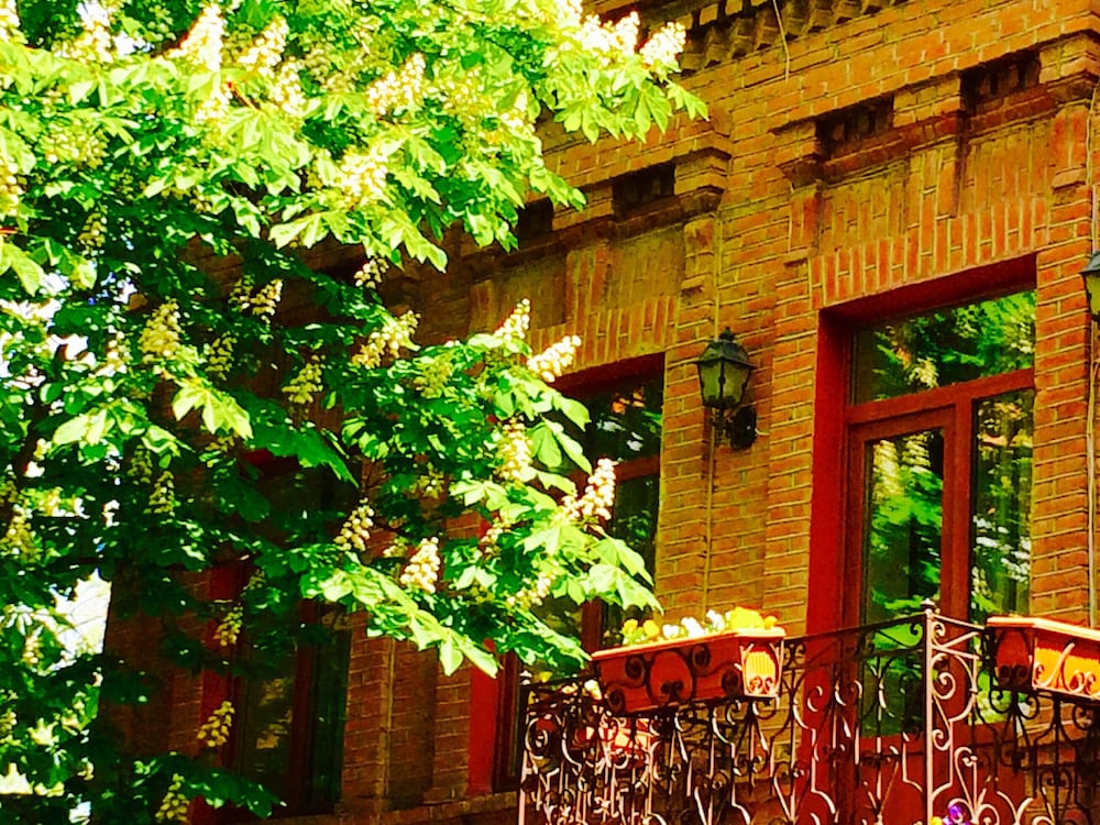 Hotel British House