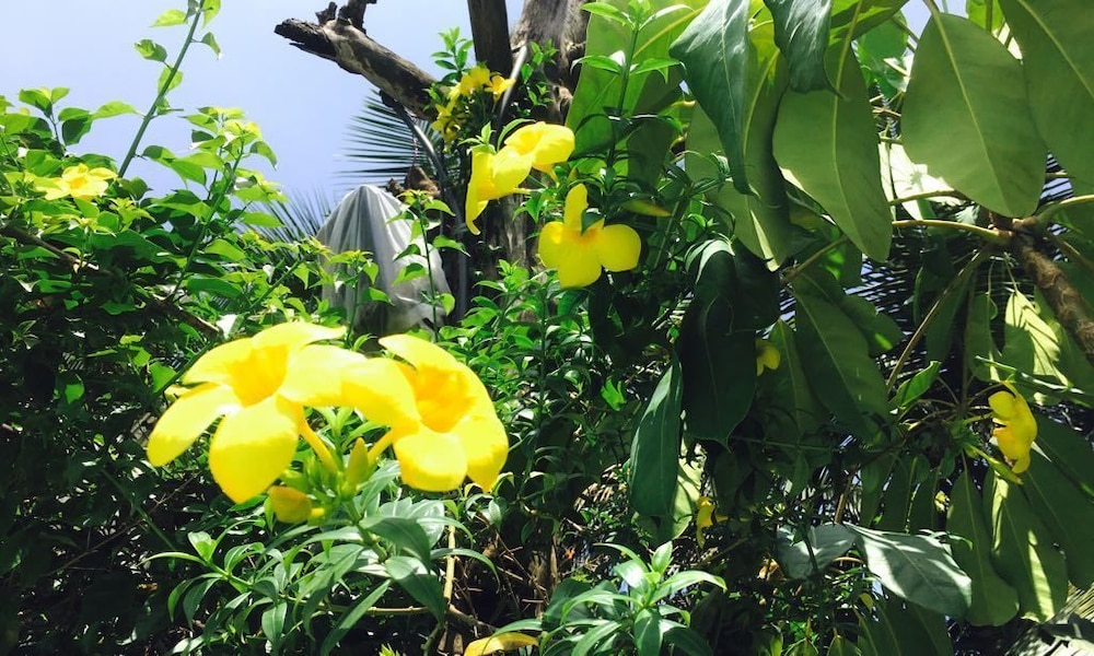 Kyriad Prestige Goa by Mastiff — Attractions in the area in Calangute, Goa
