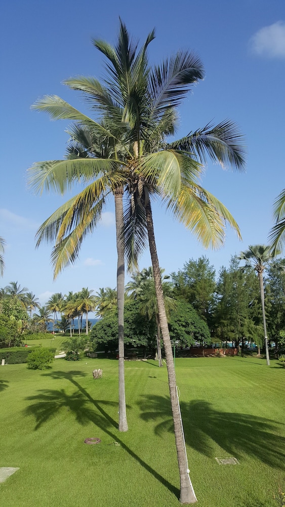 The Kairaba Beach Hotel — Beach in Serrekunda