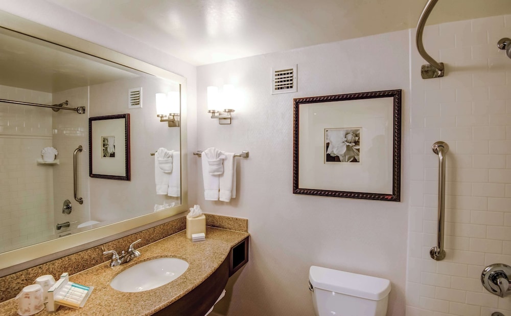 Hilton Garden Inn Tampa Ybor Historic District — Hotel rooms in Tampa, Florida